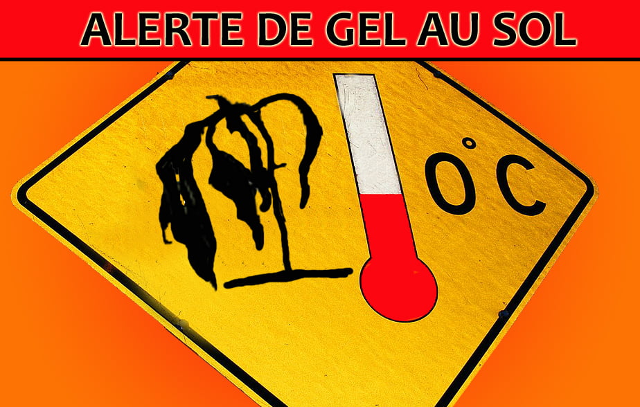 Alerte de gel au sol