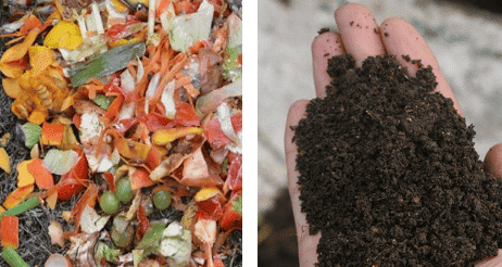 Compost