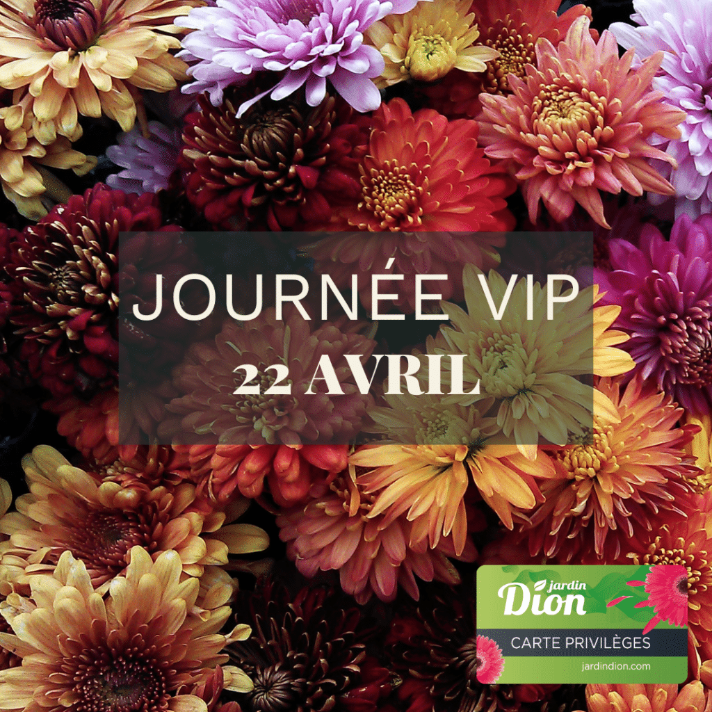 vip 22avril