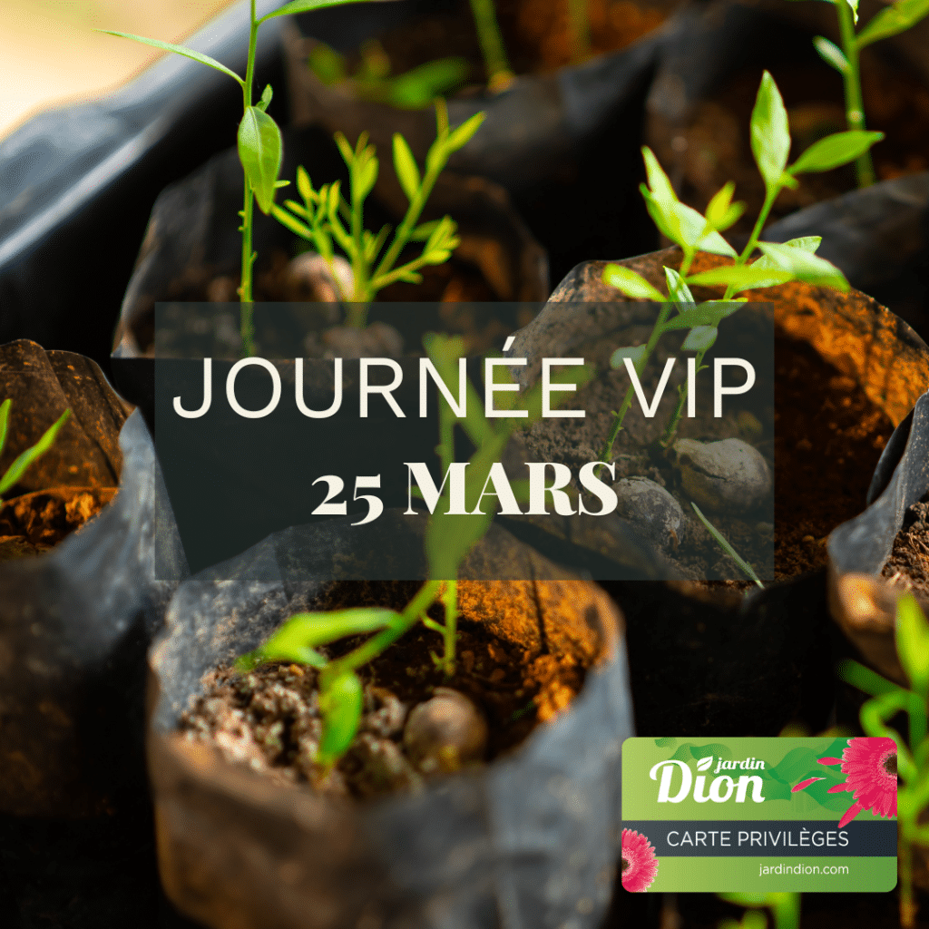 vip 25mars