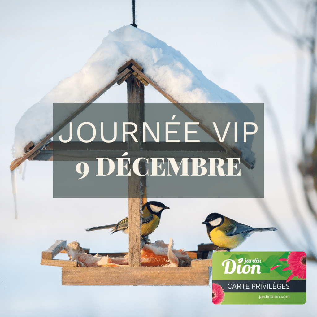 vip 9décembre