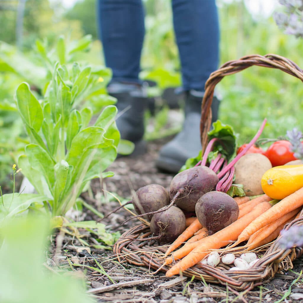 service potager jardindion