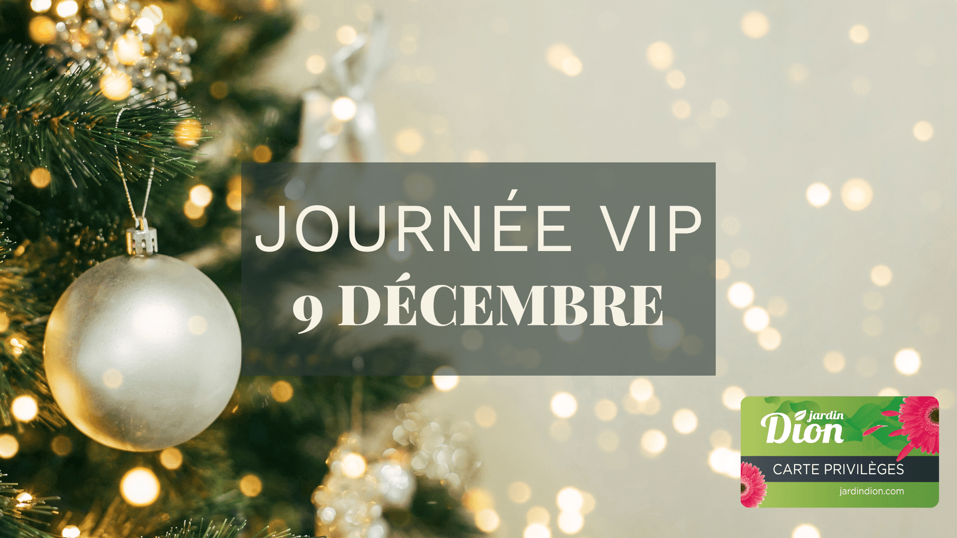 vip décembre event