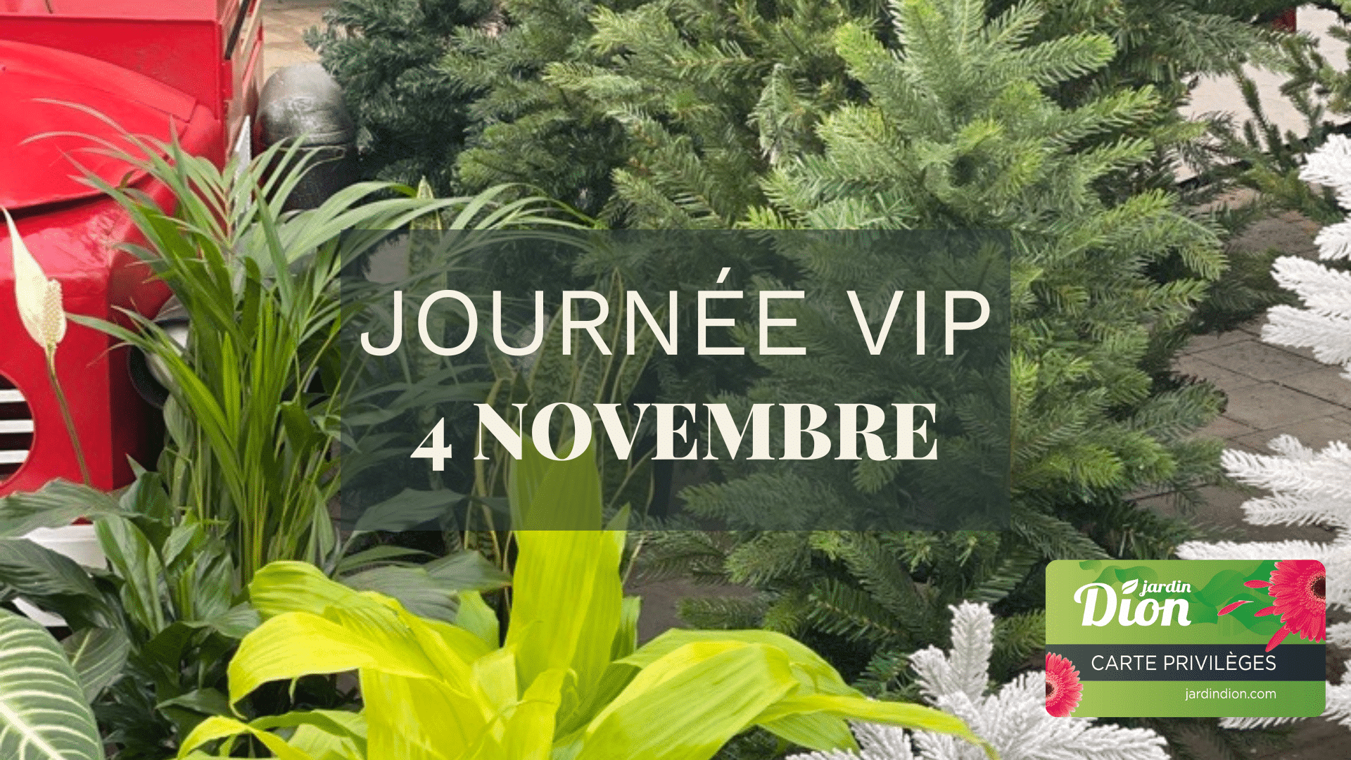 vip novembre event