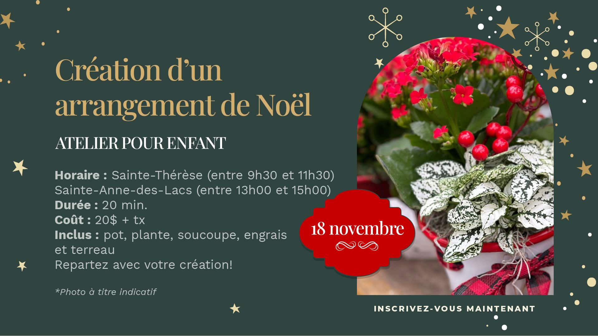 plante de noël pour enfant 100