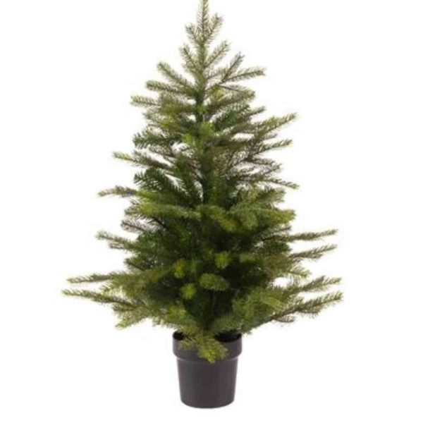 2792536 mini sapin grandis en pot 91cm.jpg